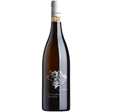 FIORE DEL SASSO - Vermentino di Gallura DOCG superiore 2024